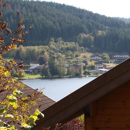 Chalet Vosgien Жерарме Экстерьер фото