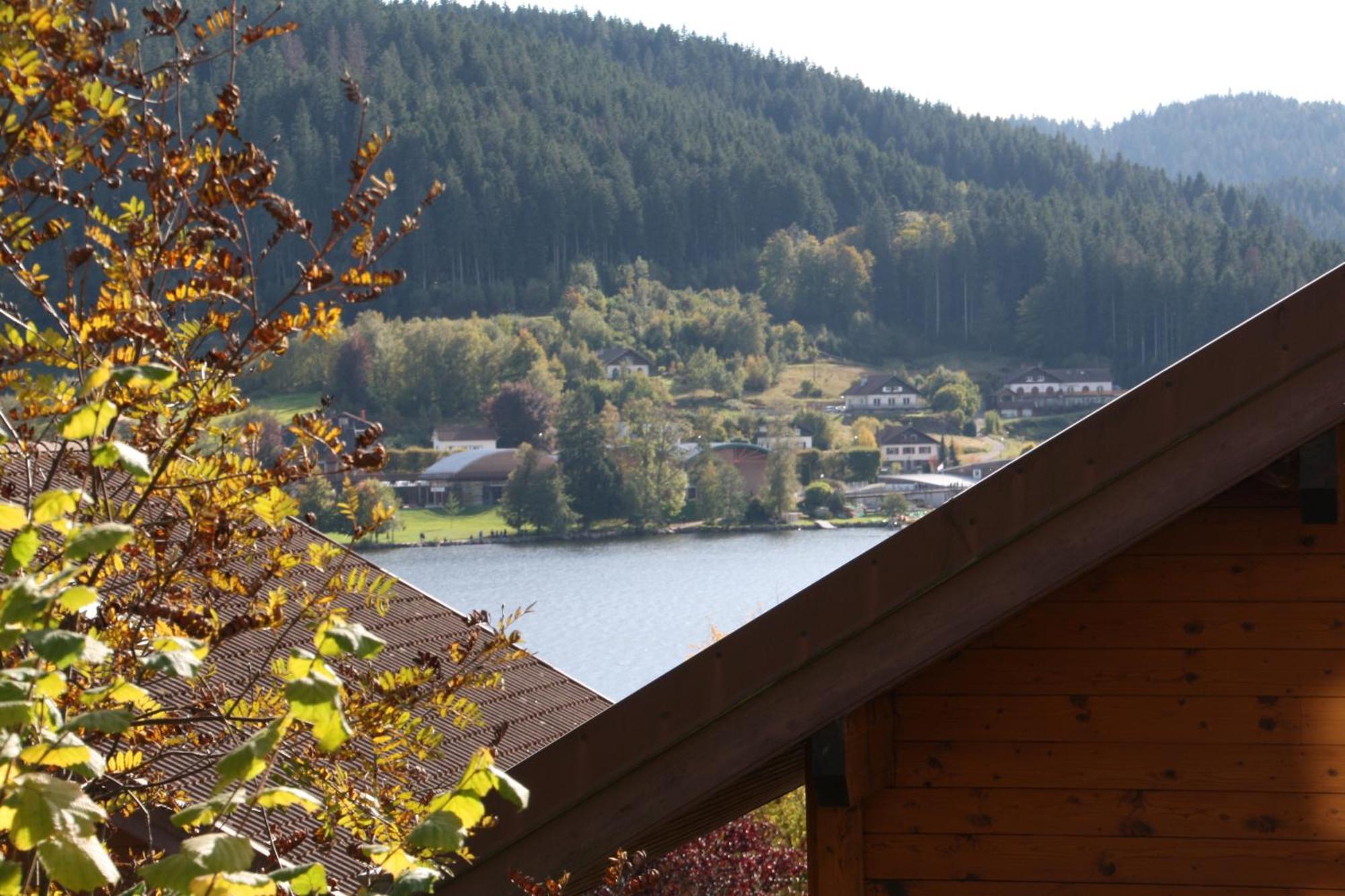 Chalet Vosgien Жерарме Экстерьер фото